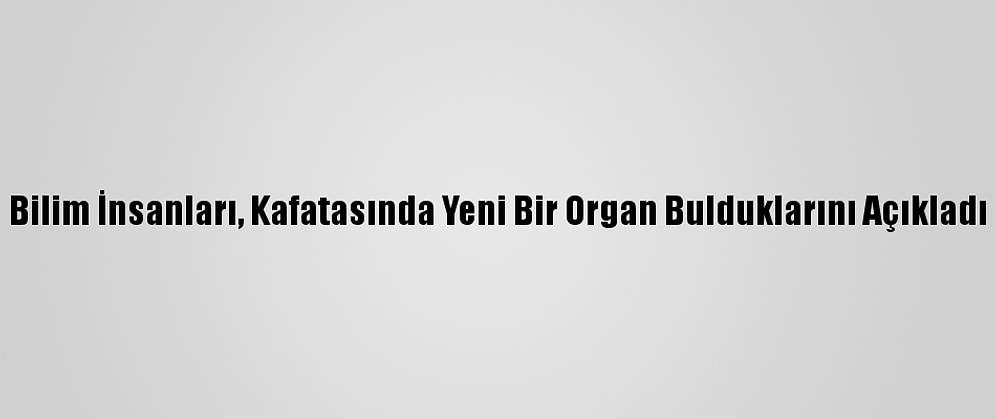 Bilim İnsanları, Kafatasında Yeni Bir Organ Bulduklarını Açıkladı