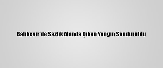 Balıkesir'de Sazlık Alanda Çıkan Yangın Söndürüldü
