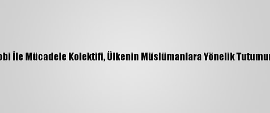 Fransa İslamofobi İle Mücadele Kolektifi, Ülkenin Müslümanlara Yönelik Tutumunu Bm'ye Taşıdı