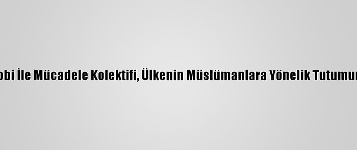 Fransa İslamofobi İle Mücadele Kolektifi, Ülkenin Müslümanlara Yönelik Tutumunu Bm'ye Taşıdı