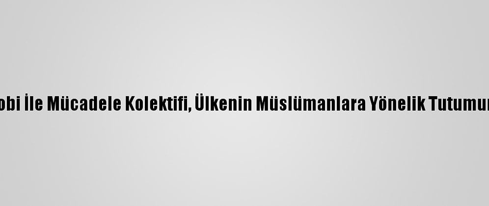 Fransa İslamofobi İle Mücadele Kolektifi, Ülkenin Müslümanlara Yönelik Tutumunu Bm'ye Taşıdı