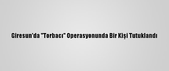 Giresun'da "Torbacı" Operasyonunda Bir Kişi Tutuklandı