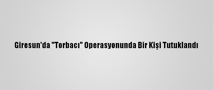 Giresun'da "Torbacı" Operasyonunda Bir Kişi Tutuklandı