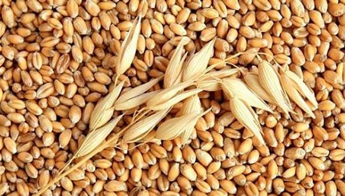 1 Ocak'a Kadar Buğday, Arpa ve Mısır İthalatında Gümrük Vergisi Sıfırlandı