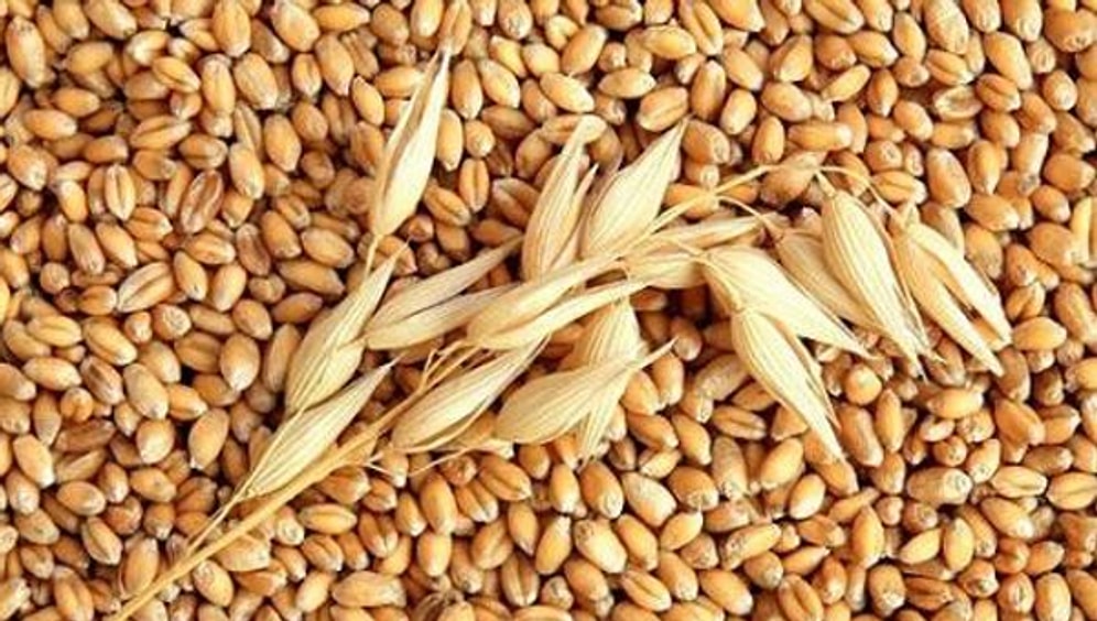 1 Ocak'a Kadar Buğday, Arpa ve Mısır İthalatında Gümrük Vergisi Sıfırlandı