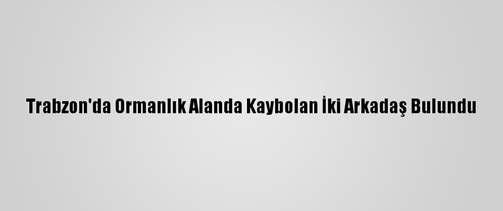 Trabzon'da Ormanlık Alanda Kaybolan İki Arkadaş Bulundu