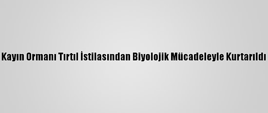 Kayın Ormanı Tırtıl İstilasından Biyolojik Mücadeleyle Kurtarıldı