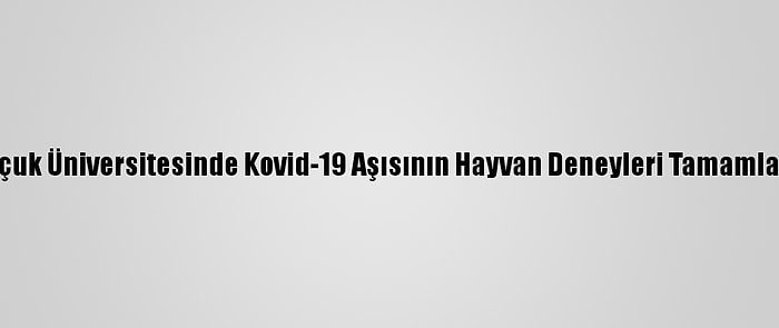 Selçuk Üniversitesinde Kovid-19 Aşısının Hayvan Deneyleri Tamamlandı