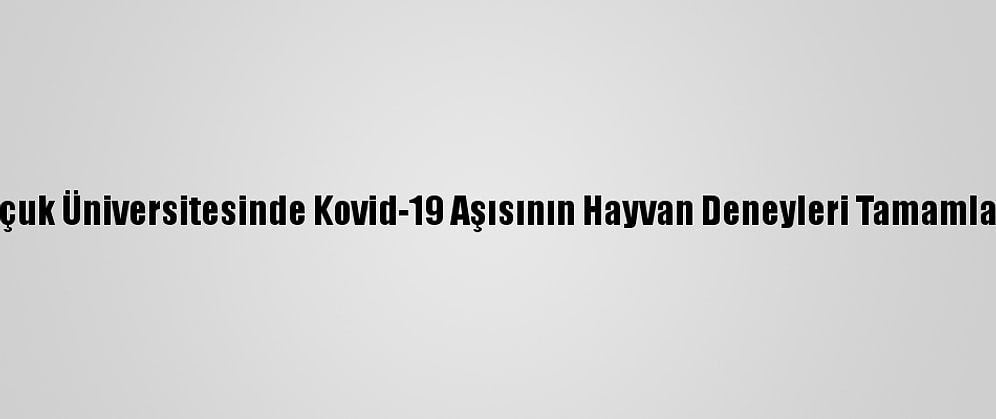 Selçuk Üniversitesinde Kovid-19 Aşısının Hayvan Deneyleri Tamamlandı