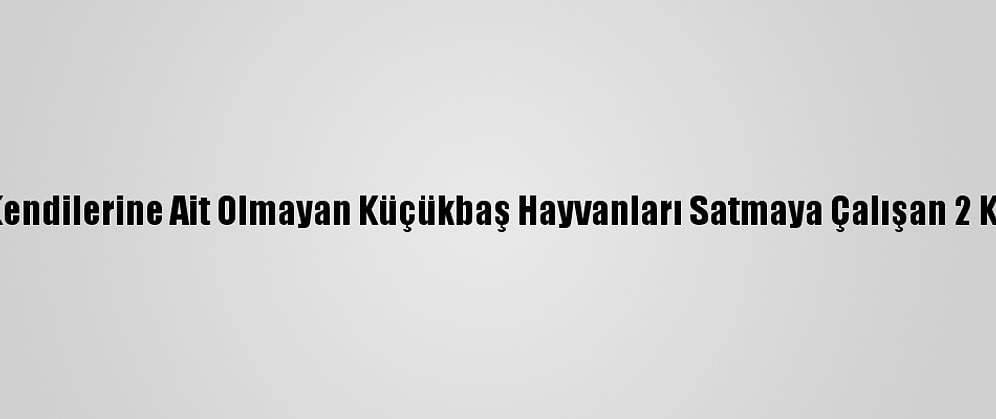 Gaziantep'te Kendilerine Ait Olmayan Küçükbaş Hayvanları Satmaya Çalışan 2 Kişi Tutuklandı