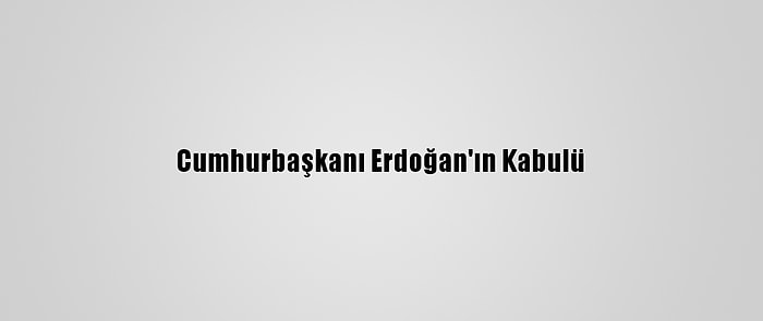 Cumhurbaşkanı Erdoğan'ın Kabulü