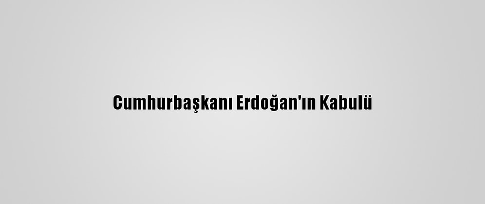 Cumhurbaşkanı Erdoğan'ın Kabulü