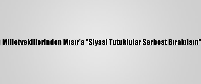 Avrupalı Milletvekillerinden Mısır'a "Siyasi Tutuklular Serbest Bırakılsın" Çağrısı