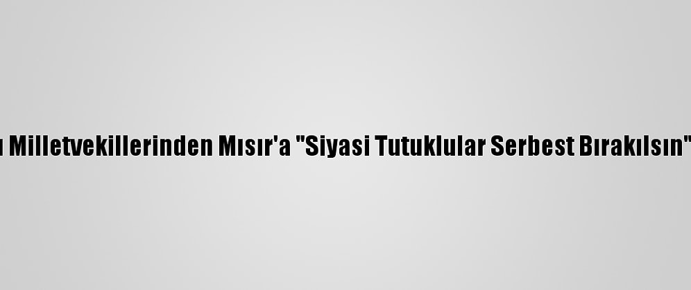 Avrupalı Milletvekillerinden Mısır'a "Siyasi Tutuklular Serbest Bırakılsın" Çağrısı