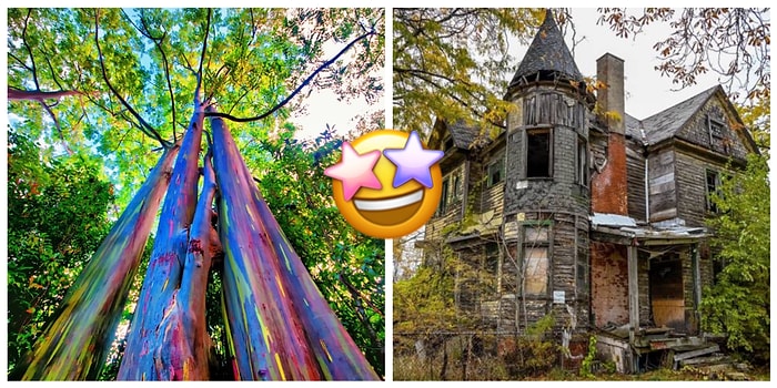 30 захватывающих фотографий, от которых невозможно отвести глаза