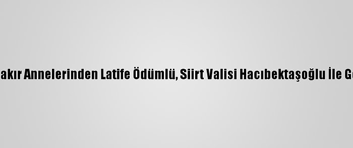 Diyarbakır Annelerinden Latife Ödümlü, Siirt Valisi Hacıbektaşoğlu İle Görüştü