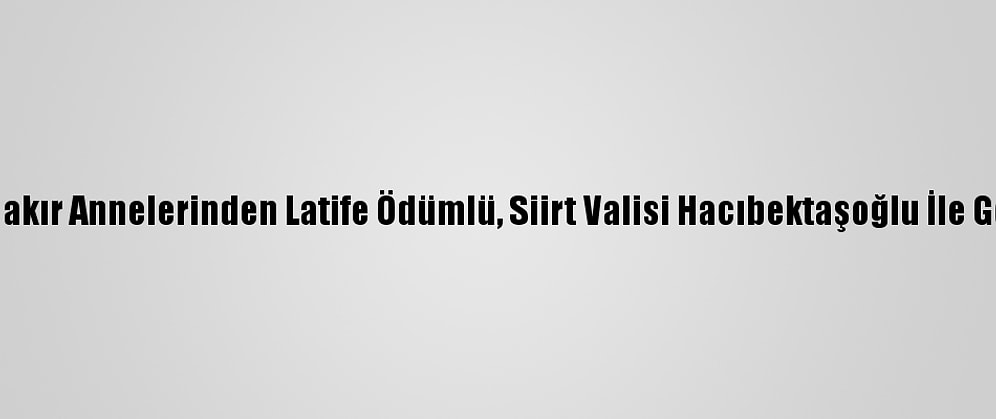Diyarbakır Annelerinden Latife Ödümlü, Siirt Valisi Hacıbektaşoğlu İle Görüştü