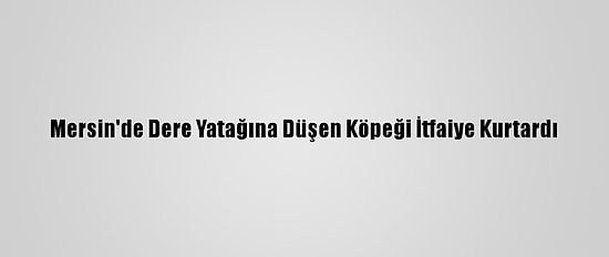 Mersin'de Dere Yatağına Düşen Köpeği İtfaiye Kurtardı