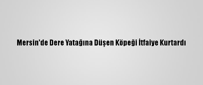 Mersin'de Dere Yatağına Düşen Köpeği İtfaiye Kurtardı