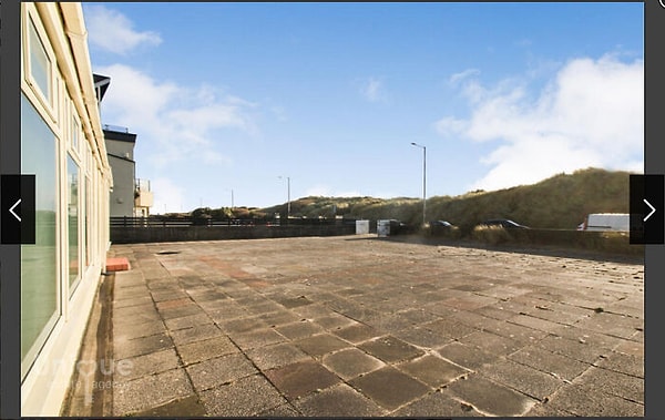 23. Во всем нужно искать положительные стороны: зато газон косить не придется!