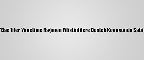 Bae'li Araştırmacı: "Bae'liler, Yönetime Rağmen Filistinlilere Destek Konusunda Sabit Bir Tutuma Sahip"