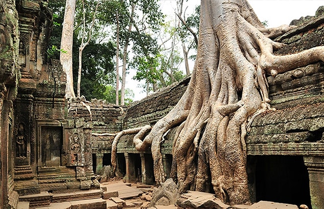 16. Ta Prohm, Kamboçya