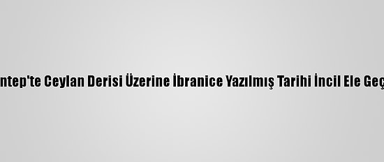 Gaziantep'te Ceylan Derisi Üzerine İbranice Yazılmış Tarihi İncil Ele Geçirildi