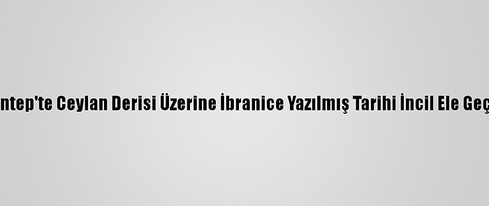 Gaziantep'te Ceylan Derisi Üzerine İbranice Yazılmış Tarihi İncil Ele Geçirildi