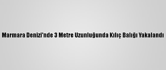 Marmara Denizi'nde 3 Metre Uzunluğunda Kılıç Balığı Yakalandı