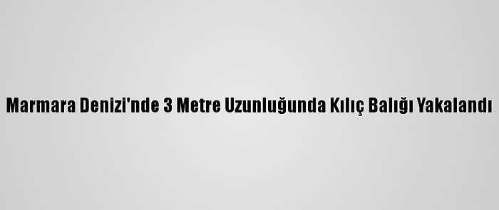 Marmara Denizi'nde 3 Metre Uzunluğunda Kılıç Balığı Yakalandı