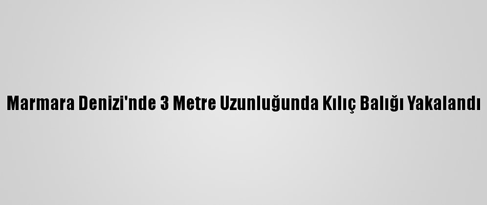 Marmara Denizi'nde 3 Metre Uzunluğunda Kılıç Balığı Yakalandı