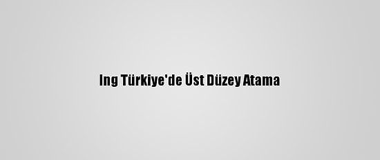 Ing Türkiye'de Üst Düzey Atama