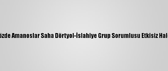 PKK'nın Sözde Amanoslar Saha Dörtyol-İslahiye Grup Sorumlusu Etkisiz Hale Getirildi