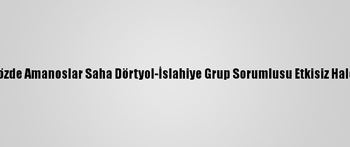 PKK'nın Sözde Amanoslar Saha Dörtyol-İslahiye Grup Sorumlusu Etkisiz Hale Getirildi