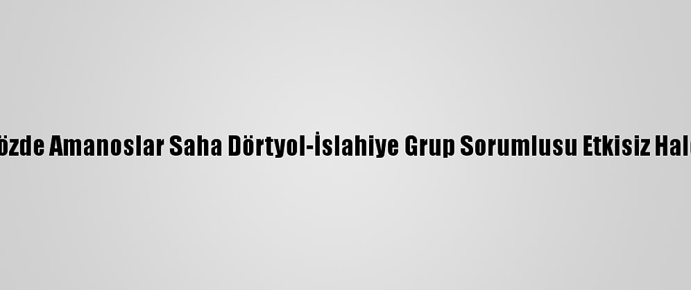 PKK'nın Sözde Amanoslar Saha Dörtyol-İslahiye Grup Sorumlusu Etkisiz Hale Getirildi