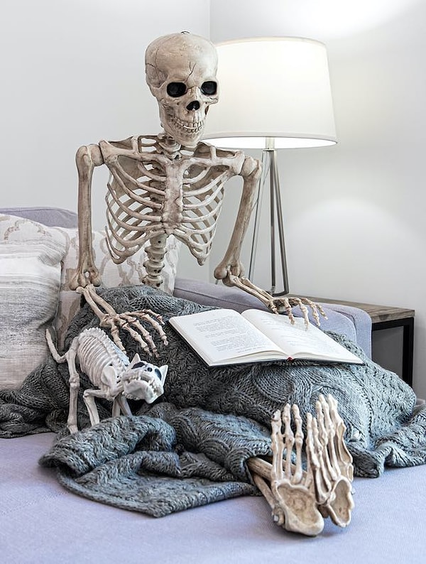 8. Все скелеты будут гастролировать по различным домам, выставленным на продажу или под аренду, до конца октября, радуя своих посетителей и вызывая неподдельную улыбку на их лицах в эти непростые времена.