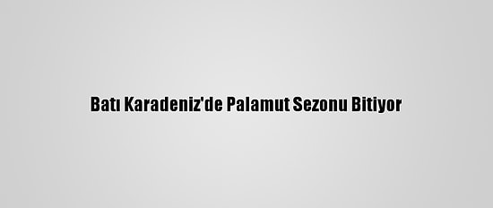 Batı Karadeniz'de Palamut Sezonu Bitiyor