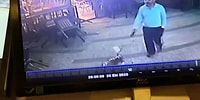 Köpeği ile Yürüyen Adama Hayatı Zindan Eden ve Birtakım Talihsizlikler Yaşanmasına Neden Olan Kedi