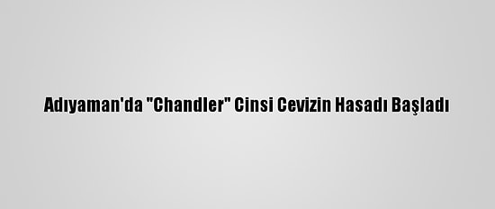 Adıyaman'da "Chandler" Cinsi Cevizin Hasadı Başladı