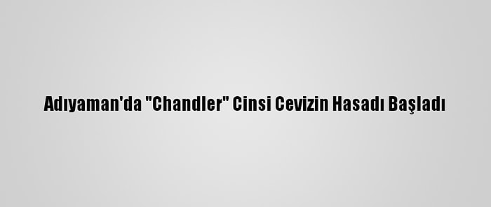 Adıyaman'da "Chandler" Cinsi Cevizin Hasadı Başladı