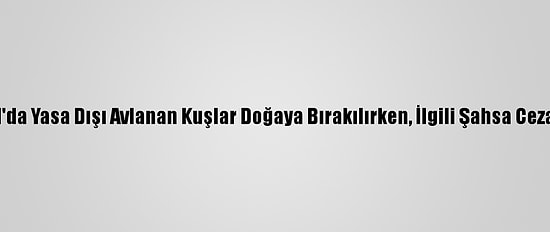 İstanbul'da Yasa Dışı Avlanan Kuşlar Doğaya Bırakılırken, İlgili Şahsa Ceza Kesildi