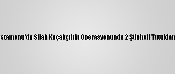 Kastamonu'da Silah Kaçakçılığı Operasyonunda 2 Şüpheli Tutuklandı