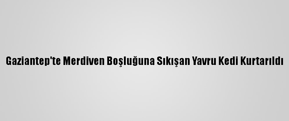 Gaziantep'te Merdiven Boşluğuna Sıkışan Yavru Kedi Kurtarıldı