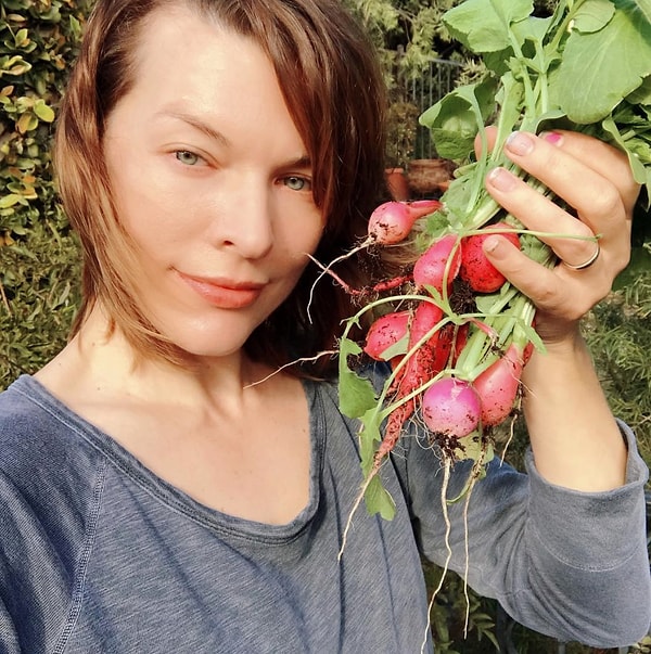 Урожай Милы Йовович.