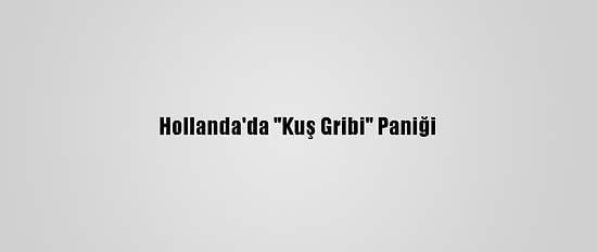 Hollanda'da "Kuş Gribi" Paniği