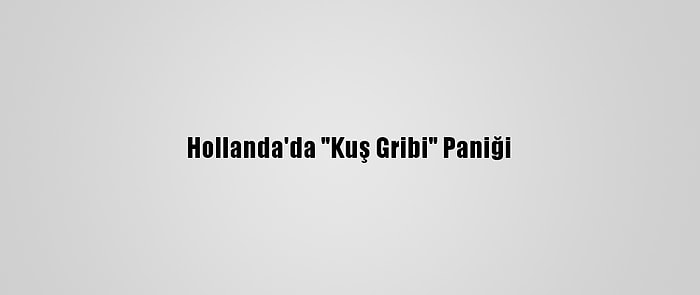 Hollanda'da "Kuş Gribi" Paniği