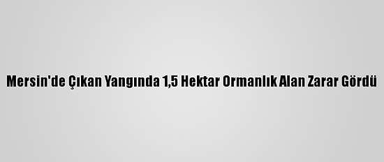 Mersin'de Çıkan Yangında 1,5 Hektar Ormanlık Alan Zarar Gördü