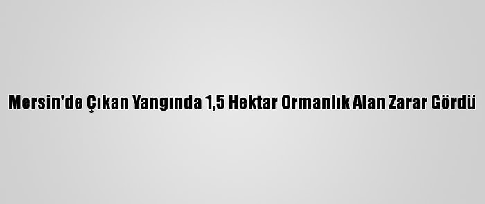 Mersin'de Çıkan Yangında 1,5 Hektar Ormanlık Alan Zarar Gördü