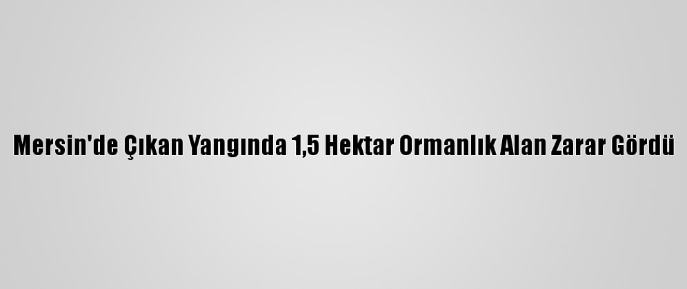 Mersin'de Çıkan Yangında 1,5 Hektar Ormanlık Alan Zarar Gördü