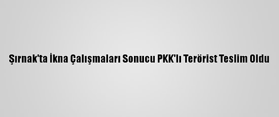 Şırnak'ta İkna Çalışmaları Sonucu PKK'lı Terörist Teslim Oldu